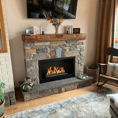 The Bio Flame Remote Control Ethanol Fireplace Burner